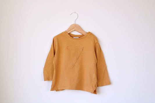 Camisola de Algodão Fina para Bebé Menino de 9 - 12 meses | Clobies