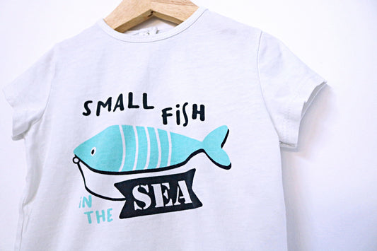 T-shirt ▪️ Bebé 12 - 18 meses